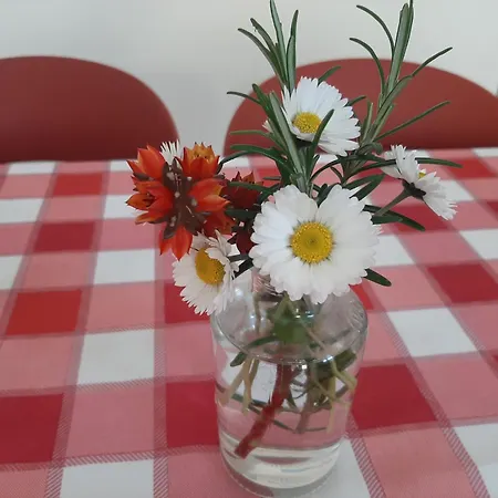Ferienhaus Il Sorriso Di Eva *